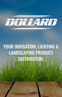 Collection page banner